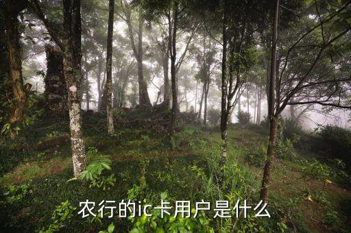 農(nóng)行ic卡是什么，農(nóng)行的ic卡用戶是什么