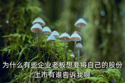 為什么老板都想上市，為什么老板都想讓企業(yè)上市