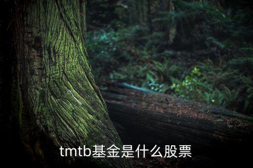 什么是tmt股票，什么是TMT概念股