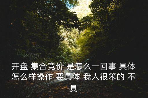 什么是開盤集合競(jìng)價(jià)，股票開盤前會(huì)集合竟價(jià)是什么意思