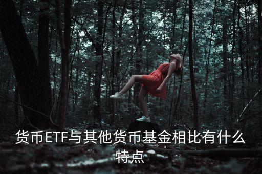 貨幣ETF與其他貨幣基金相比有什么特點