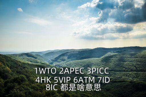 1WTO 2APEC 3PICC 4HK 5VIP 6ATM 7ID 8IC 都是啥意思