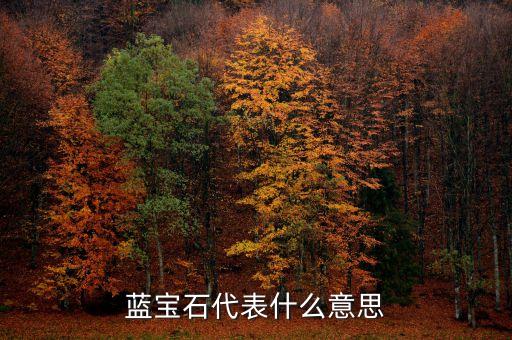 藍(lán)寶石代表什么意思