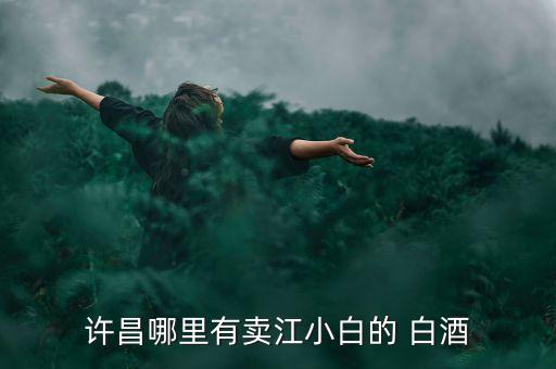 許昌哪里有賣江小白的 白酒