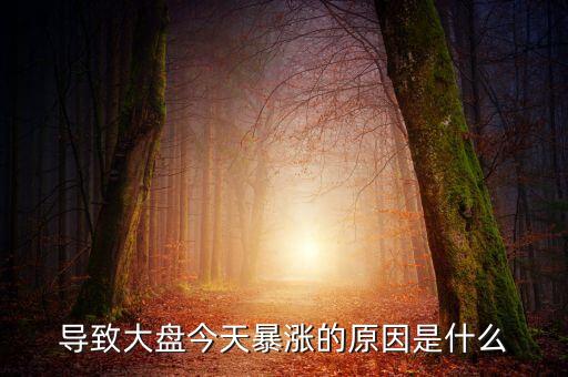 導致大盤今天暴漲的原因是什么