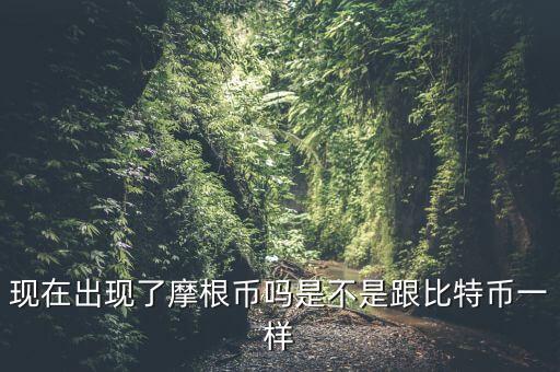 為什么摩根幣國家，現(xiàn)在出現(xiàn)了摩根幣嗎是不是跟比特幣一樣