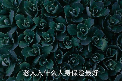 老人入什么人身保險最好