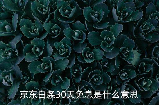 京東30天免息什么意思，京東商城網(wǎng)上買鞋子有增值保障是什么意思有什么30天免息又是17