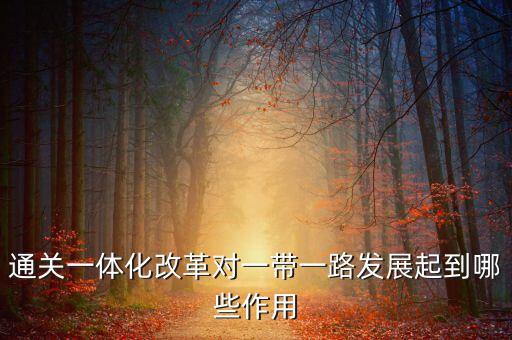通關(guān)一體化改革對一帶一路發(fā)展起到哪些作用