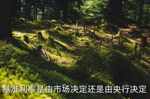 基準(zhǔn)利率是由市場(chǎng)決定還是由央行決定