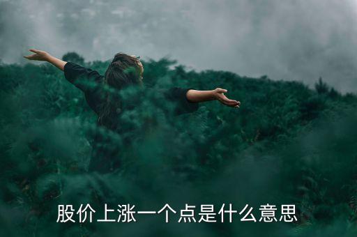股價(jià)上漲一個(gè)點(diǎn)是什么意思