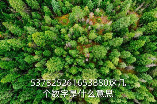 026869數(shù)字代表什么寓意，電話號(hào)碼各個(gè)數(shù)字表示的意義