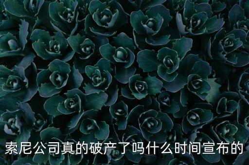 索尼公司真的破產(chǎn)了嗎什么時(shí)間宣布的