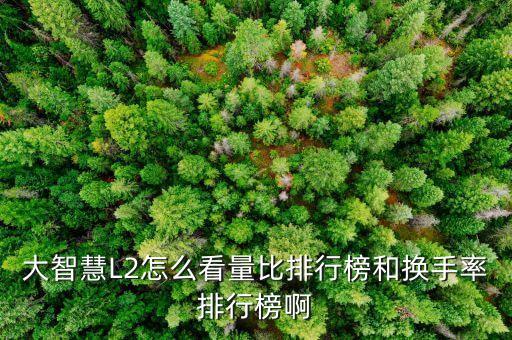 確信買入是什么意思，港股評(píng)級(jí)確信買入名單 是什么意思