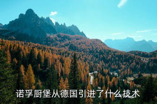 諾孚廚堡從德國引進(jìn)了什么技術(shù)