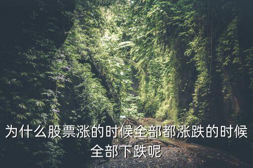 為什么股票漲的時候全部都漲跌的時候全部下跌呢