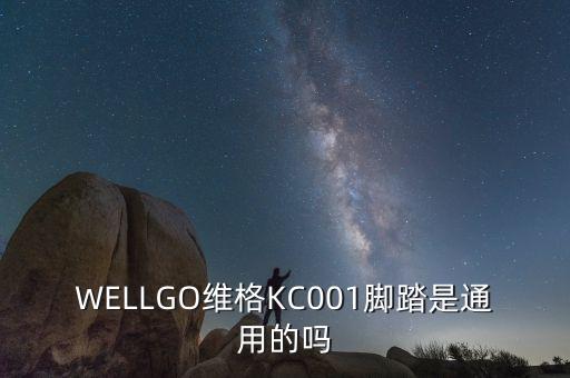 WELLGO維格KC001腳踏是通用的嗎