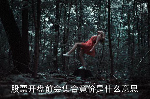 開盤前公布的股價是什么意思，股市每天開盤前的集合竟價是什么意思謝謝大師解答