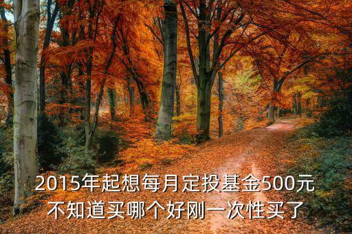 2015年起想每月定投基金500元不知道買(mǎi)哪個(gè)好剛一次性買(mǎi)了