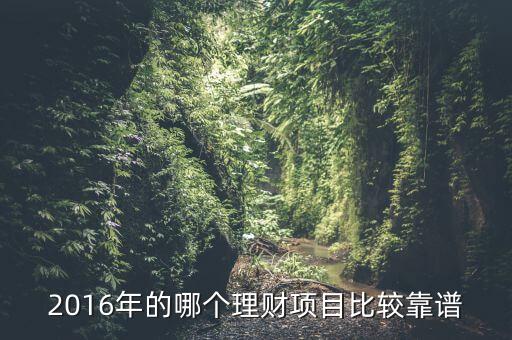 2016年投資什么最可靠，2016年的哪個理財項目比較靠譜