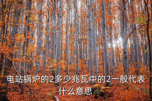 電站兆瓦什么意思，兆瓦是哪一個物理量的單位發(fā)電能力達(dá)45兆瓦說明什么意思