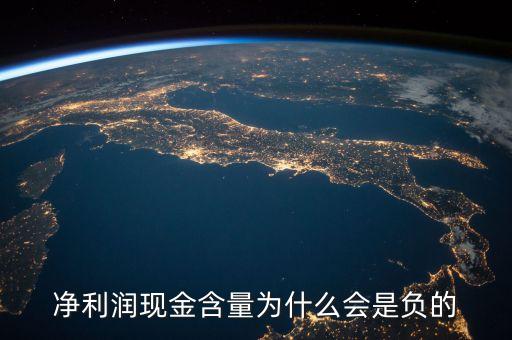 動量策略為什么一月負收益，凈利潤現(xiàn)金含量為什么會是負的