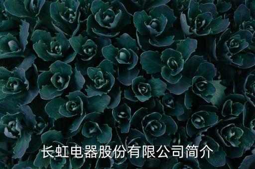 長虹電器股份有限公司簡介