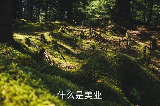 美業(yè)集團(tuán)是什么行業(yè)，什么是美業(yè)