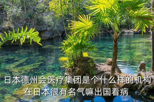日本德州會醫(yī)療集團是個什么樣的機構(gòu)在日本很有名氣嘛出國看病