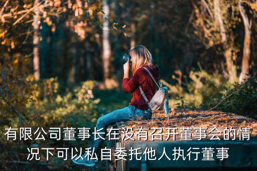 什么是董事長不履行職務，有限公司董事長在沒有召開董事會的情況下可以私自委托他人執(zhí)行董事