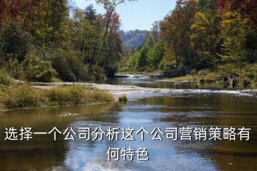 霸王洗發(fā)水的經(jīng)營(yíng)策略是什么，選擇一個(gè)公司分析這個(gè)公司營(yíng)銷(xiāo)策略有何特色