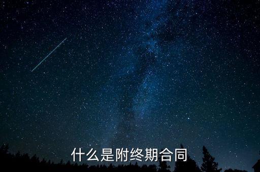 什么是附屬協(xié)議，什么是附終期合同