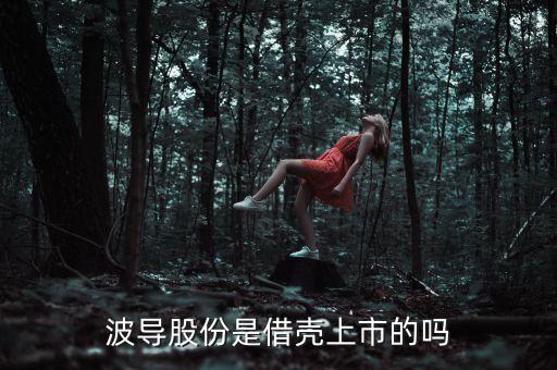 波導(dǎo)股份是借殼上市的嗎