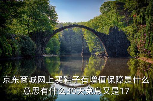 京東商城網(wǎng)上買鞋子有增值保障是什么意思有什么30天免息又是17