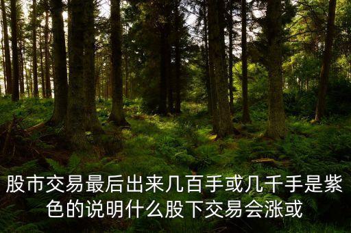 股市交易最后出來幾百手或幾千手是紫色的說明什么股下交易會漲或