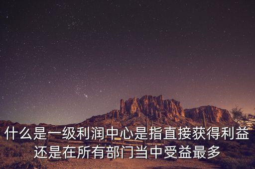 什么是一級(jí)利潤(rùn)中心是指直接獲得利益還是在所有部門當(dāng)中受益最多
