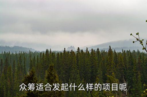 什么樣的項(xiàng)目適合眾籌，有哪些比較好的眾籌項(xiàng)目推薦一些