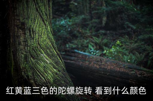 紅黃藍三色的陀螺旋轉(zhuǎn) 看到什么顏色