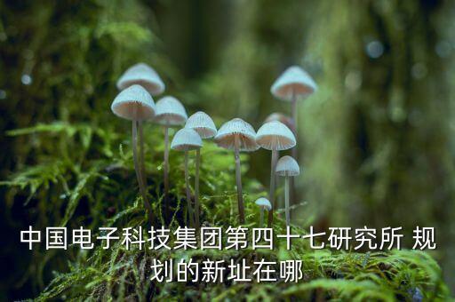 中國電子科技集團第四十七研究所 規(guī)劃的新址在哪