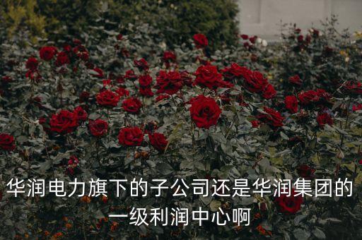 華潤(rùn)電力旗下的子公司還是華潤(rùn)集團(tuán)的一級(jí)利潤(rùn)中心啊