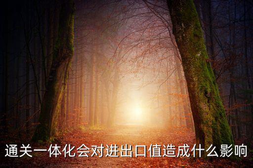 通關(guān)一體化會對進(jìn)出口值造成什么影響