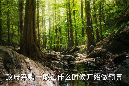 政府采購(gòu)一般在什么時(shí)候開(kāi)始做預(yù)算