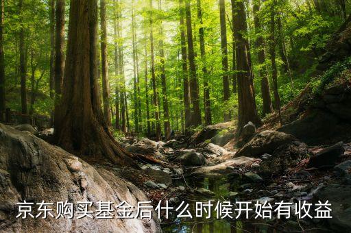 京東什么時候收益，京東購買基金后什么時候開始有收益