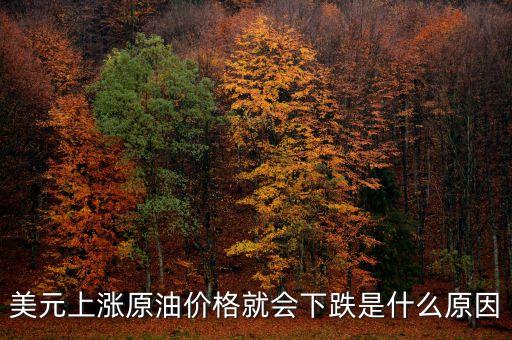 美元上漲原油價格就會下跌是什么原因