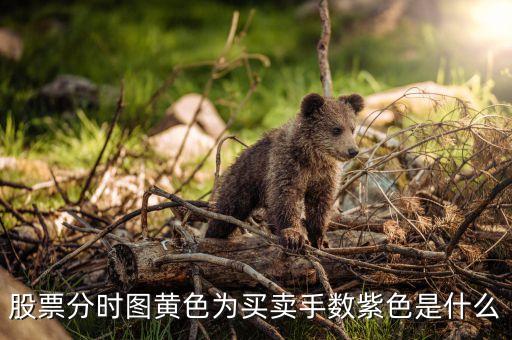 股票分時圖黃色為買賣手?jǐn)?shù)紫色是什么