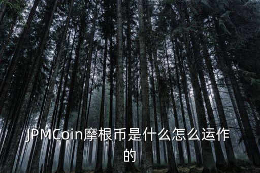 JPMCoin摩根幣是什么怎么運作的
