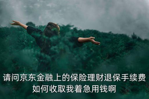 退保手續(xù)費率5是什么意思，手續(xù)費率為05什么意思