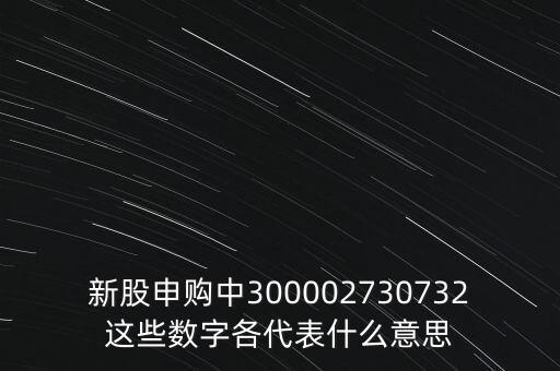 新股申購(gòu)中300002730732這些數(shù)字各代表什么意思