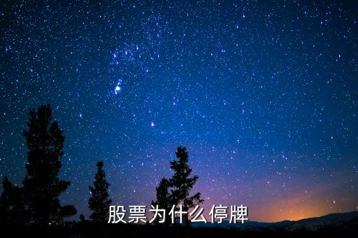 博信股份為什么停牌，股票為什么停牌