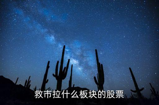 救市拉什么板塊的股票